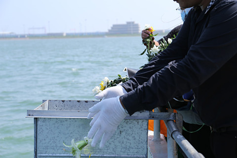 中元节一对一骨灰海撒活动申请指南