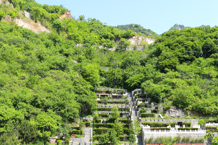 九公山墓区绿化