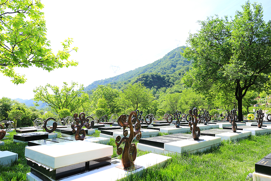 墓区环境 墓区环境