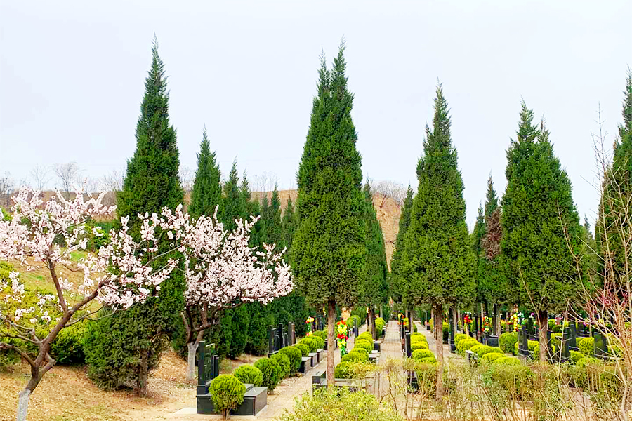 墓区环境 墓区环境