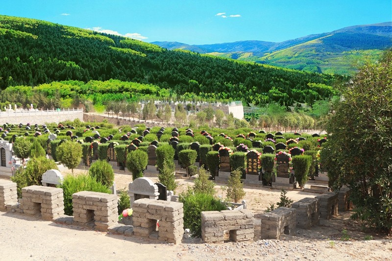 龙居山购墓流程 龙居山购墓流程