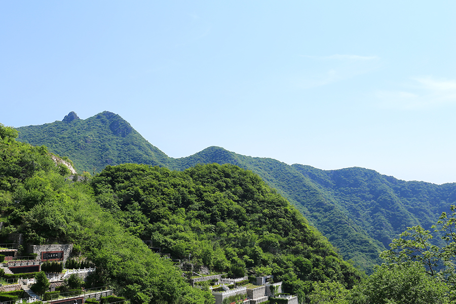 九公山绿化环境 九公山绿化环境