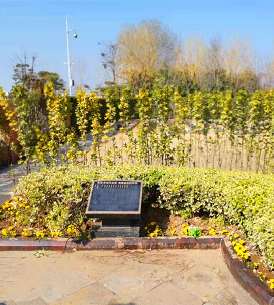 4千左右花坛葬 4千左右花坛葬