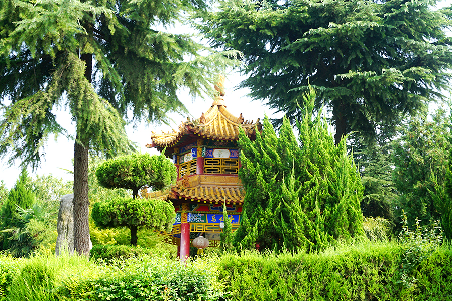 绿化环境 绿化环境