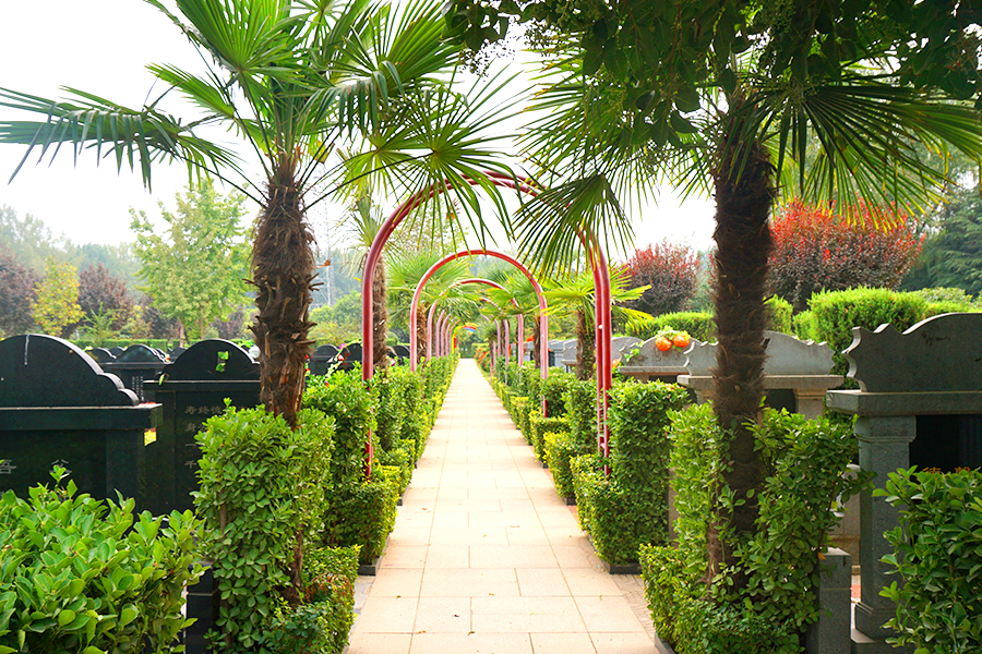 陵园绿化环境 陵园绿化环境