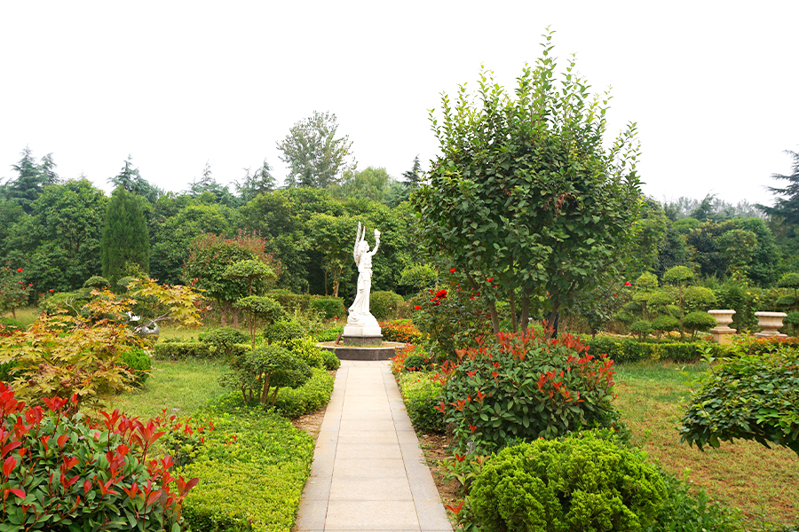 陵园一角 陵园一角