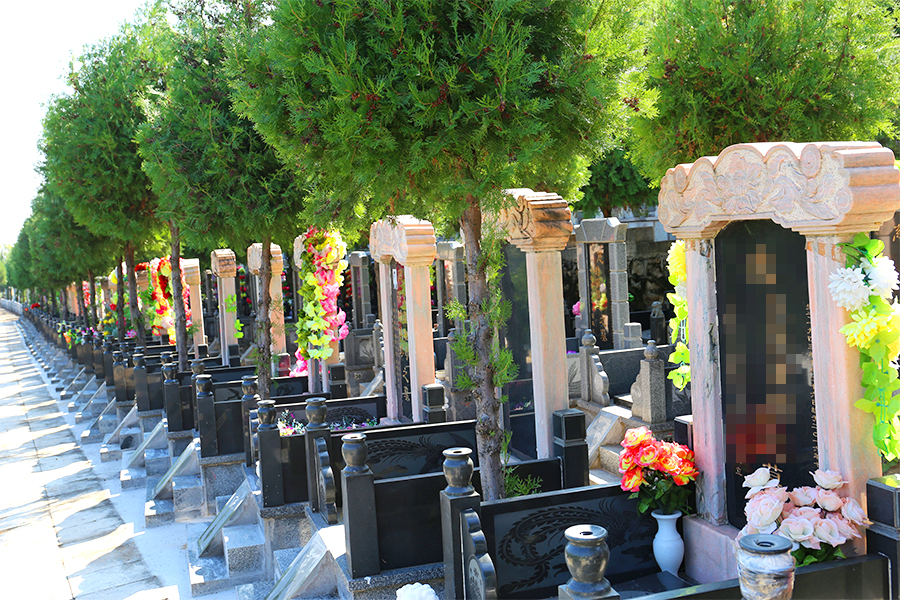 墓区侧面