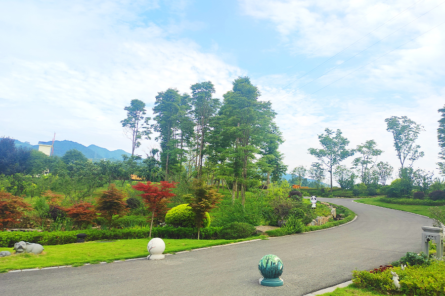 陵园道路环境