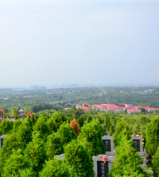 墓区环境 墓区环境