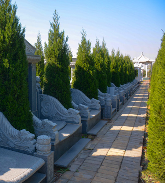 墓区一角 墓区一角