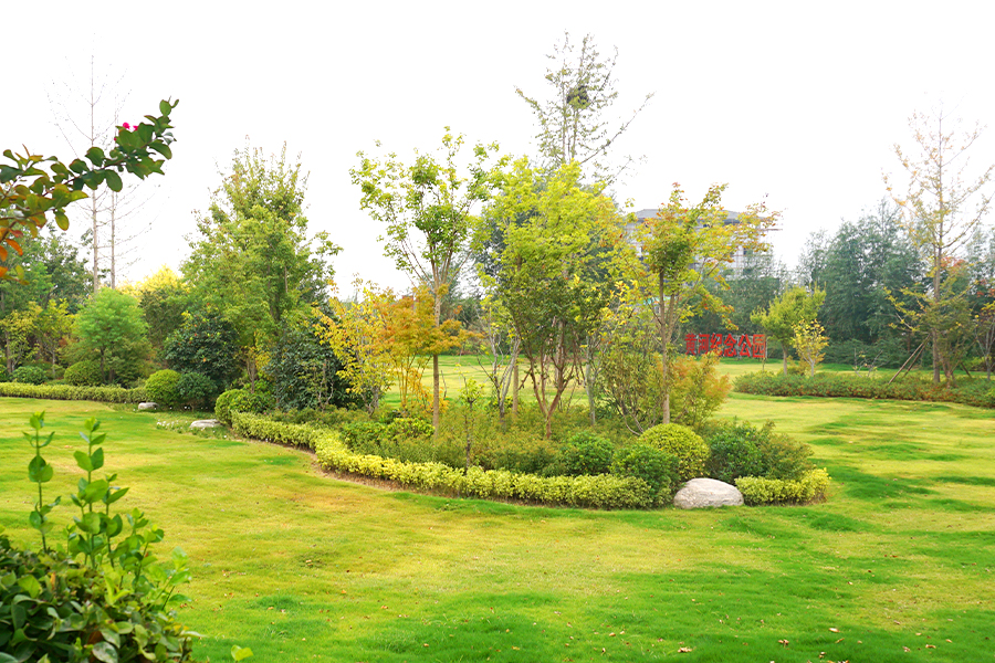 陵园一角 陵园一角