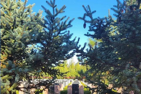 怀来官厅中华永久陵园树葬：一块安息地,安放悲伤、寄托思念