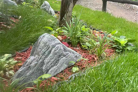 北京市区没墓地可选了,最后在怀柔九公山长城纪念林为姐姐选个树葬