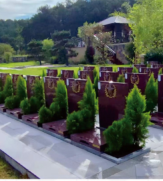 军人墓区 军人墓区