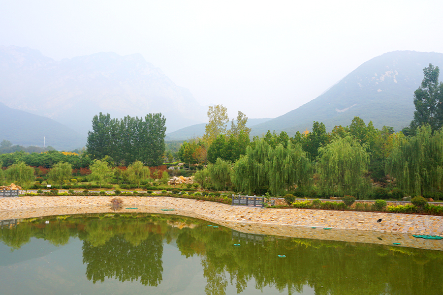 陵园风景 陵园风景