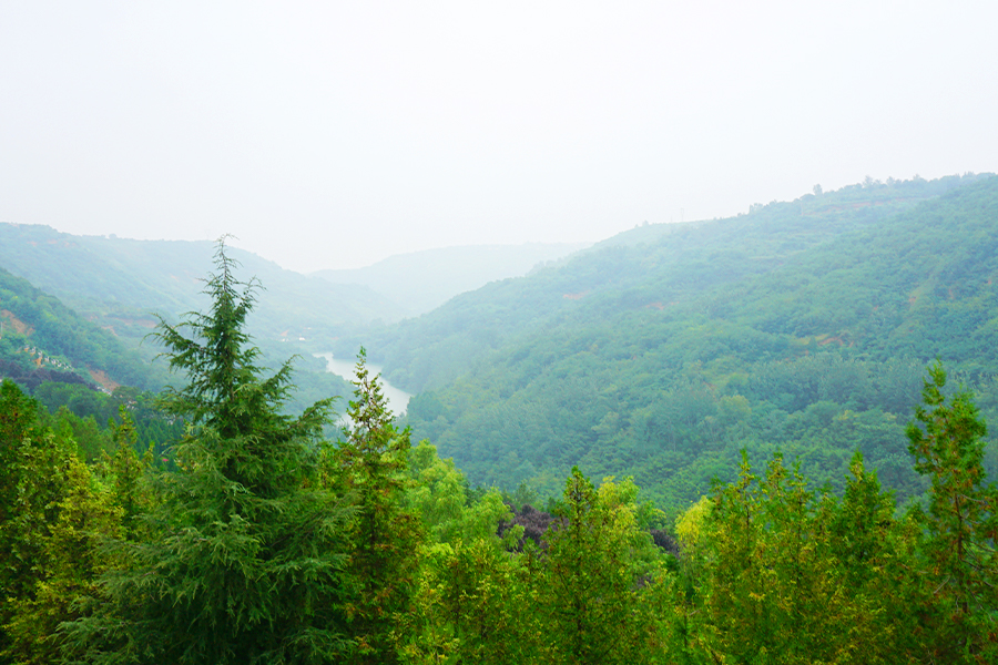 绿化风景 绿化风景