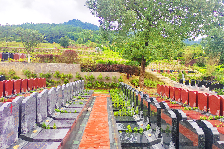 墓区环境