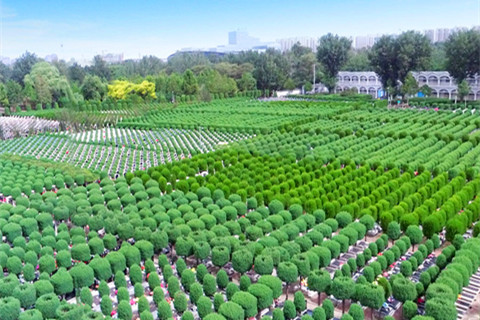 资源告急：廊坊万桐园凤栖园及生态葬区最后席位,享限时惠民价