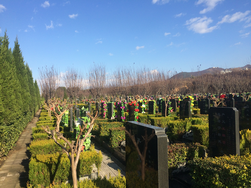 墓区环境