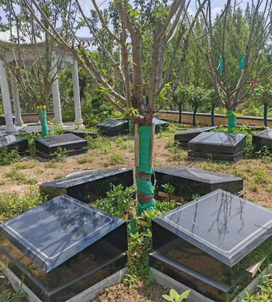 白鹿原公墓树葬卧碑 白鹿原公墓树葬卧碑