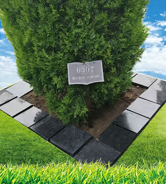 树葬墓型 树葬墓型