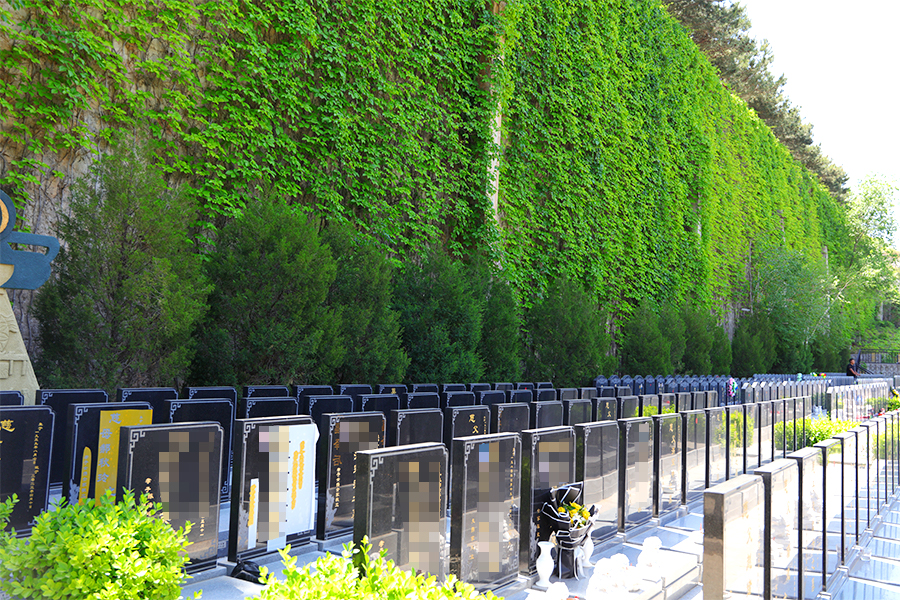 墓区环境