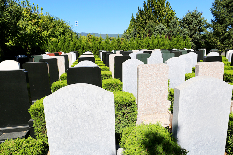墓区环境