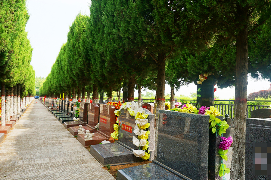 墓区一侧 墓区一侧