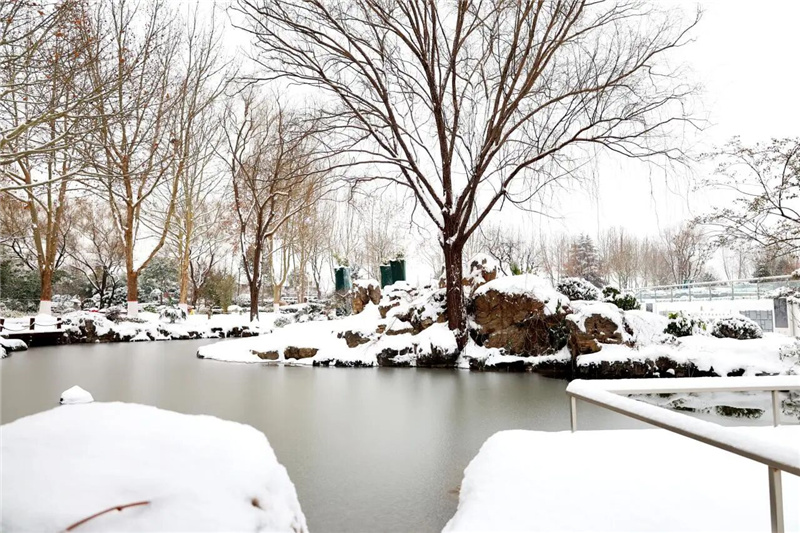 陵园一角 陵园一角