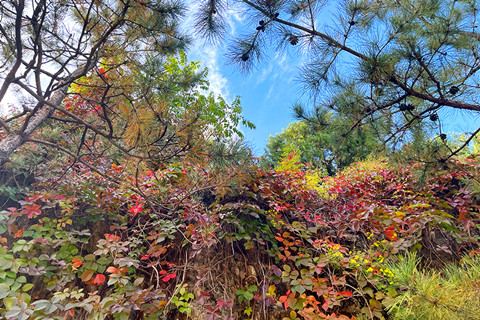 燕郊灵山宝塔陵园：北京东部城区,尤其是朝阳、通州两区家属的最多选择