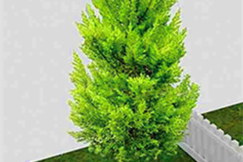 廊坊固安施孝园公墓有树葬吗多少钱？