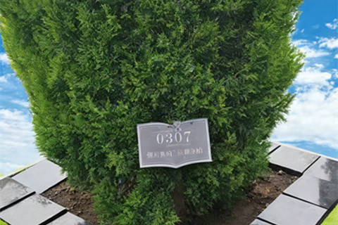 文安清颐园树葬墓地报价多少钱