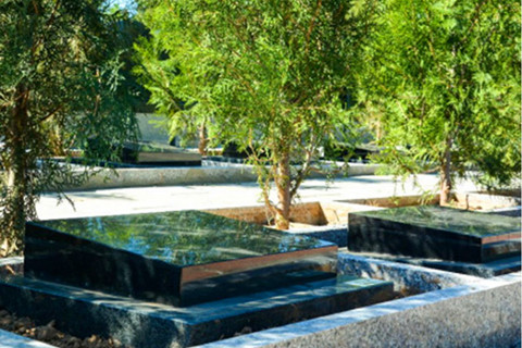 生态树葬如何兼顾心意与预算？北京周边中华永久陵园给出高性价比答案