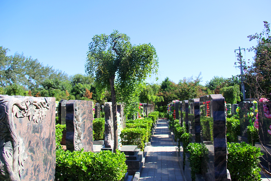 墓区环境