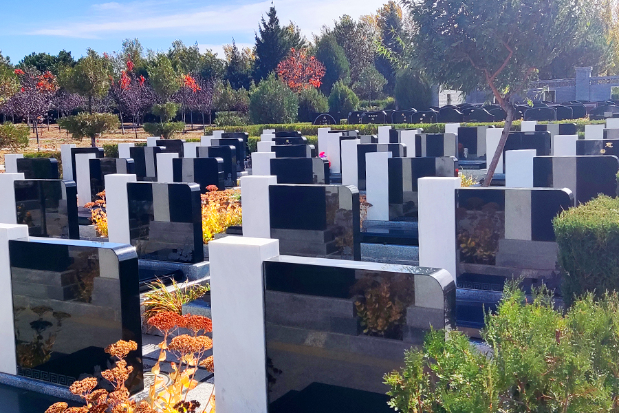 墓区环境 墓区环境