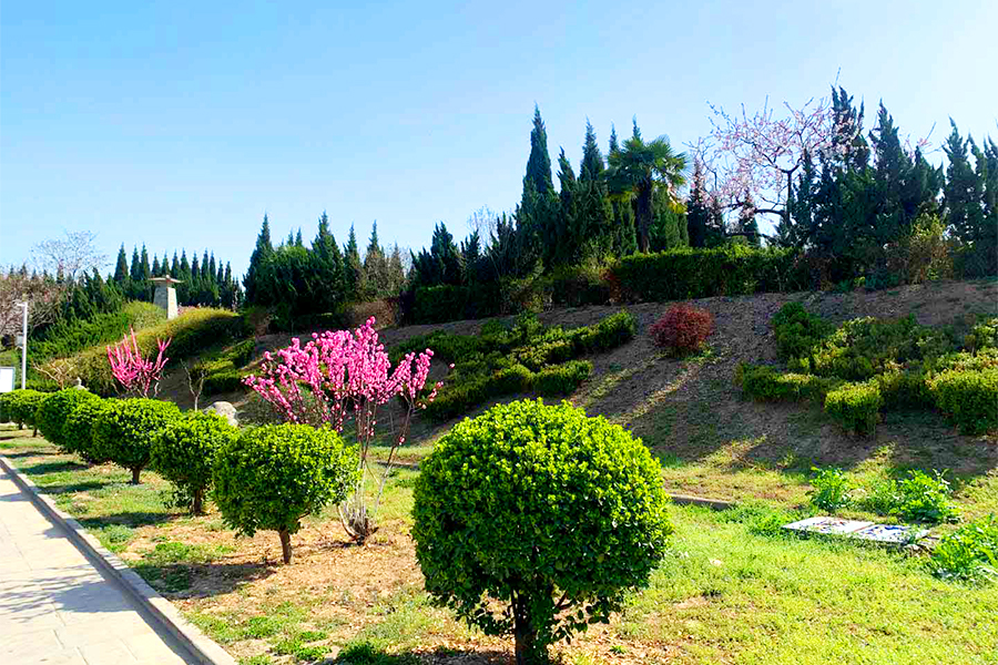 陵园一角 陵园一角