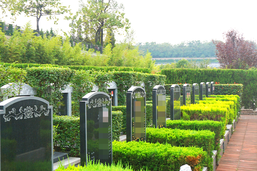 墓区环境