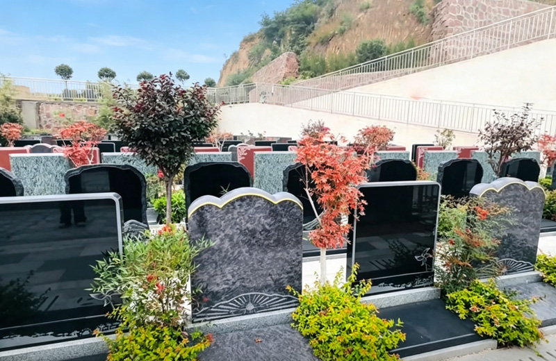 世外家园环境实拍