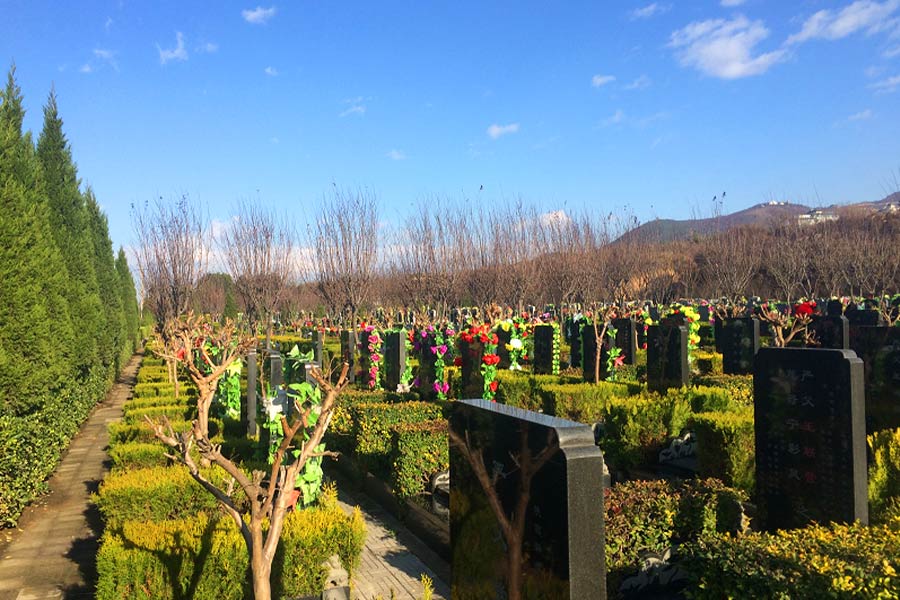 墓区绿化