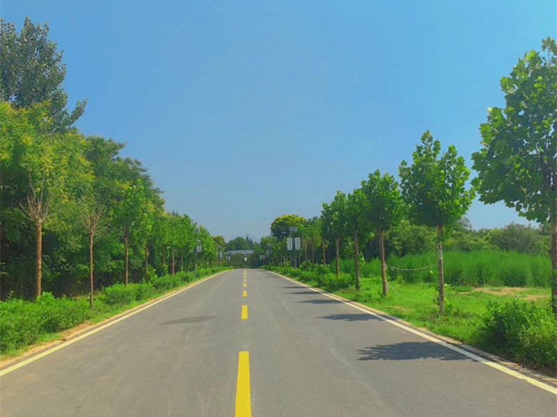 道路风景 道路风景