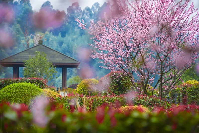 美景