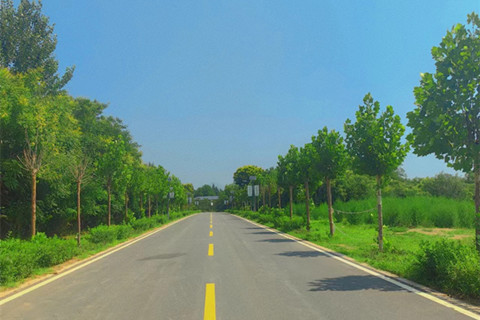 易县万福陵园生态花坛葬：生命的谢幕,如花般静美,如书般深远