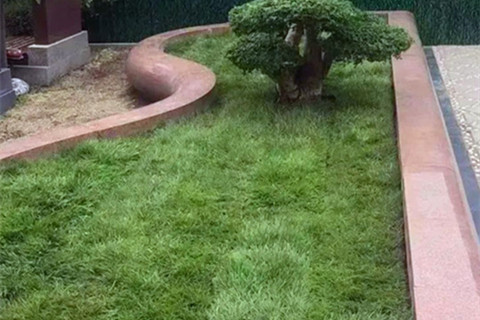 天寿陵园的那个绿草大树下,有场9600元的告别