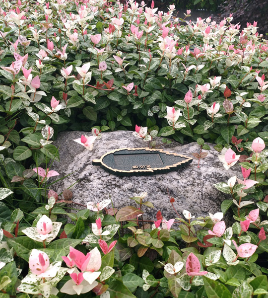 花坛葬 花坛葬