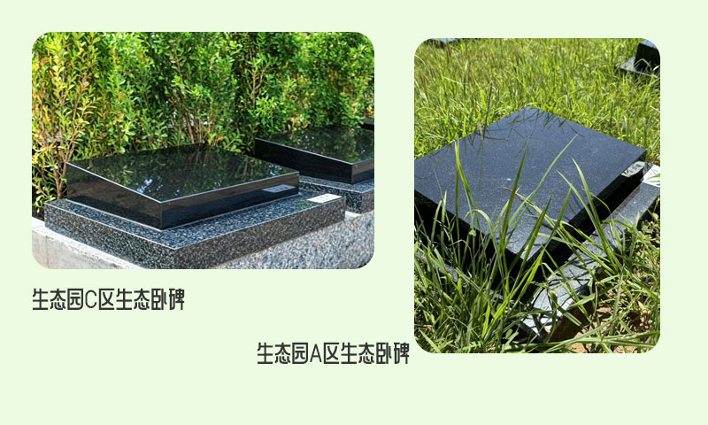 生态卧碑 生态卧碑