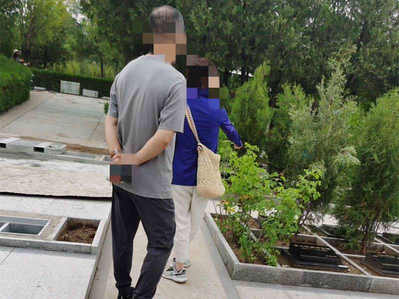 客户看树葬墓型 客户看树葬墓型