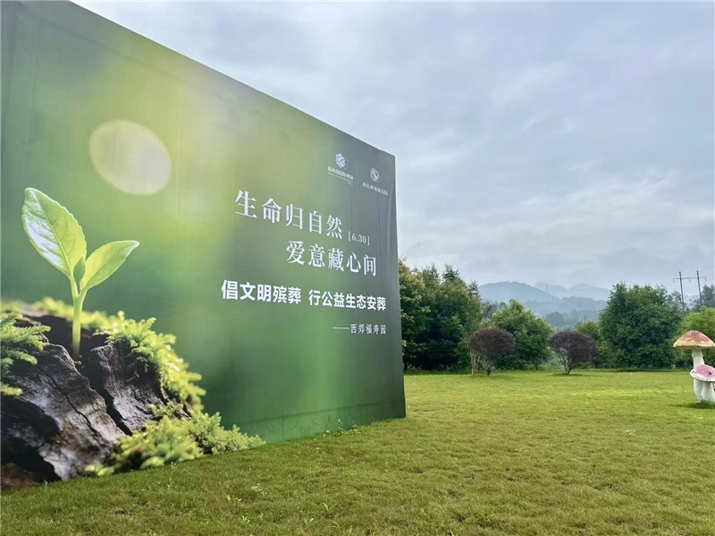 一份温暖抵达