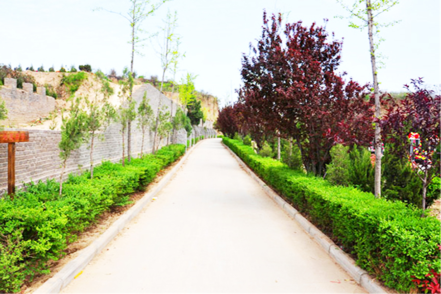 道路风景 道路风景