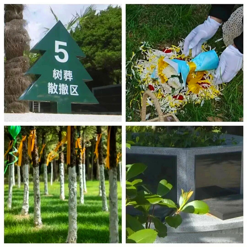 生态葬 生态葬