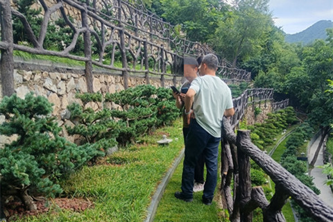 今天带姜女士去了九公山长城纪念林,给她父亲看福泽园长青苑的寿穴